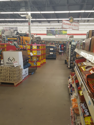 Home Improvement Store «Tractor Supply Co.», reviews and photos, 7135 N Expressway 281, Edinburg, TX 78542, USA