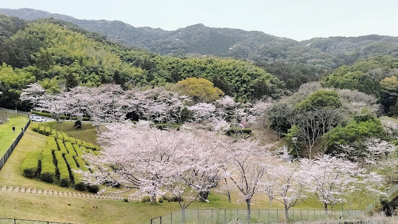 昭和池公園