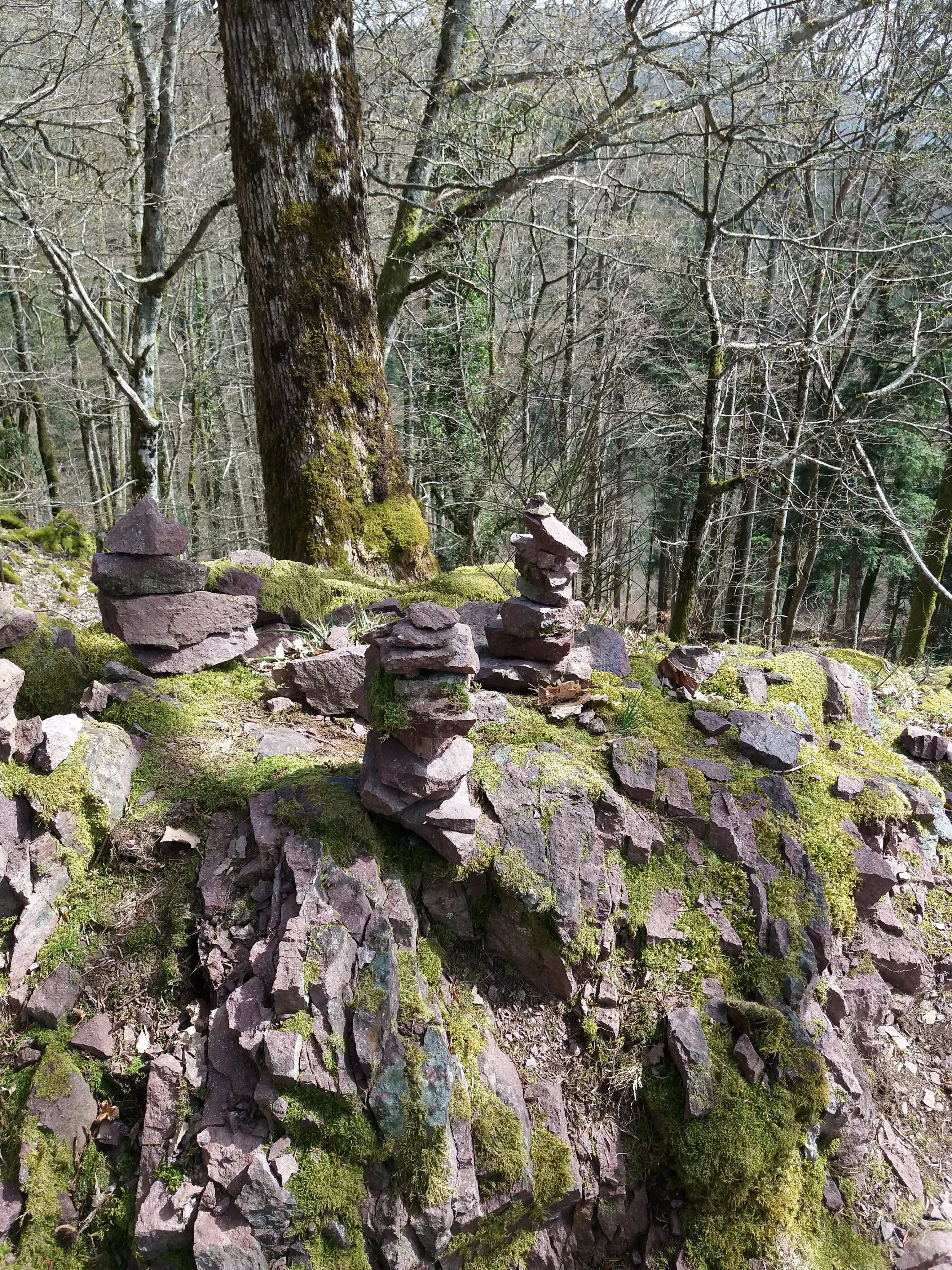 Photo n° 35 de l'avis de yann.a fait le 12/04/2018 à 05:08