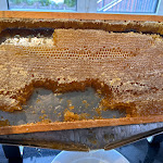 Photo n°1 de l'avis de Doreen.e fait le 24/03/2024 à 11:53 sur le  Courtyard Dresden à Dresden