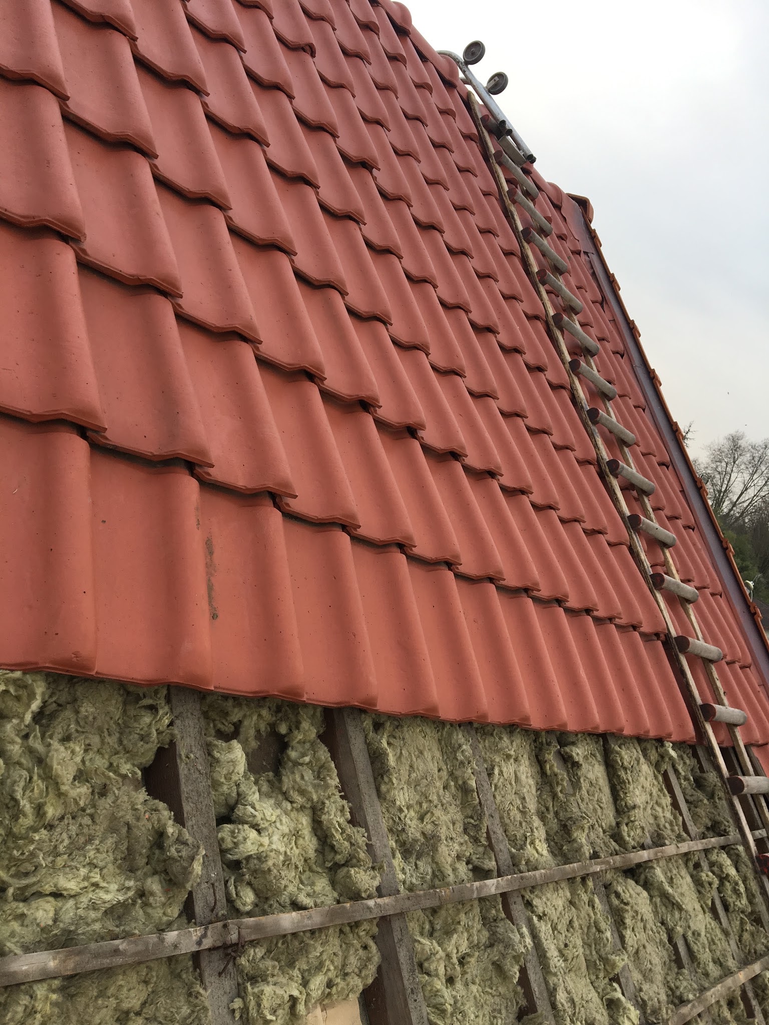 Photo n° 2 de l'avis de françoise.a fait le 21/03/2018 à 11:10