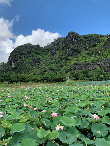 Top 20 cửa hàng altech Huyện Hoa Lư Ninh Bình 2022