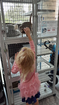 Pet Supermarket - Photo 6 - Car repair in Orange City, FL, Deltona