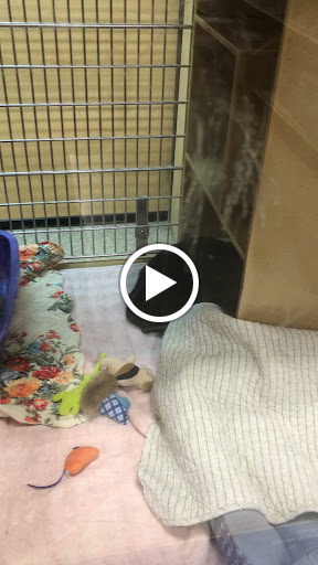 Pet Supply Store «PetSmart», reviews and photos, 190 Rt 10 West, East Hanover, NJ 07936, USA