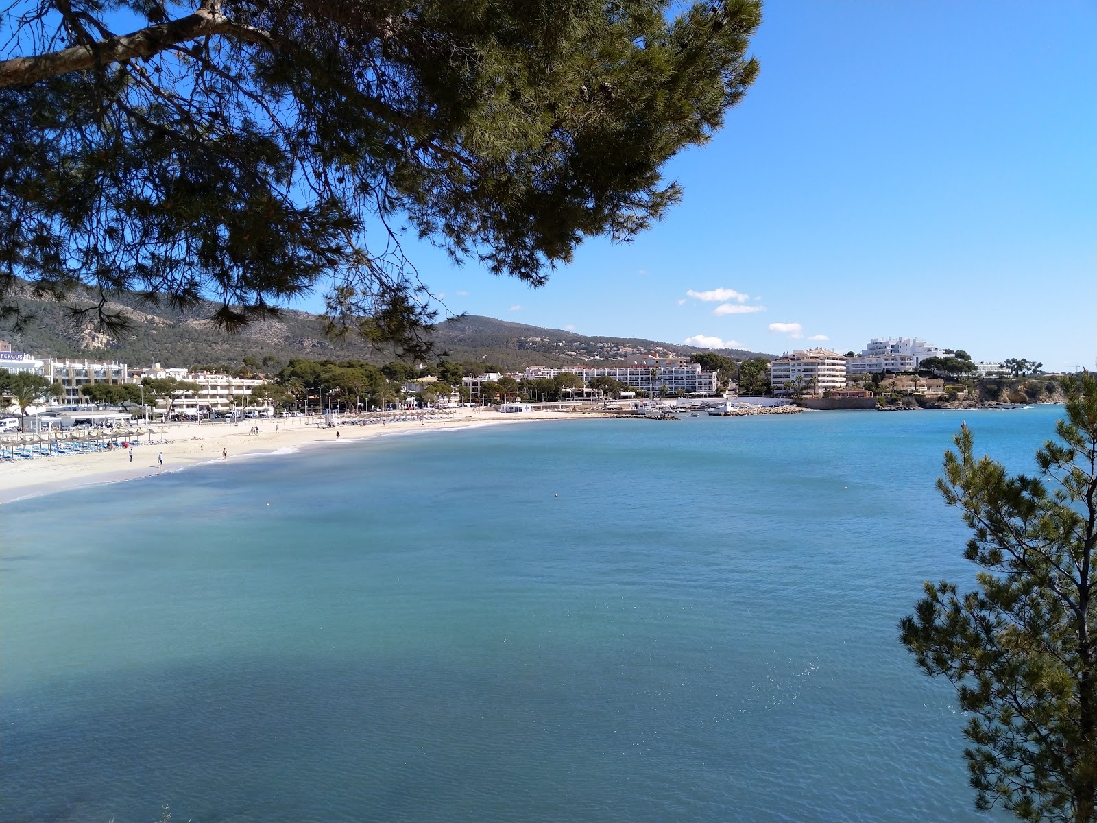 Foto di Spiaggia di Porto Novo con una superficie del sabbia beige fine