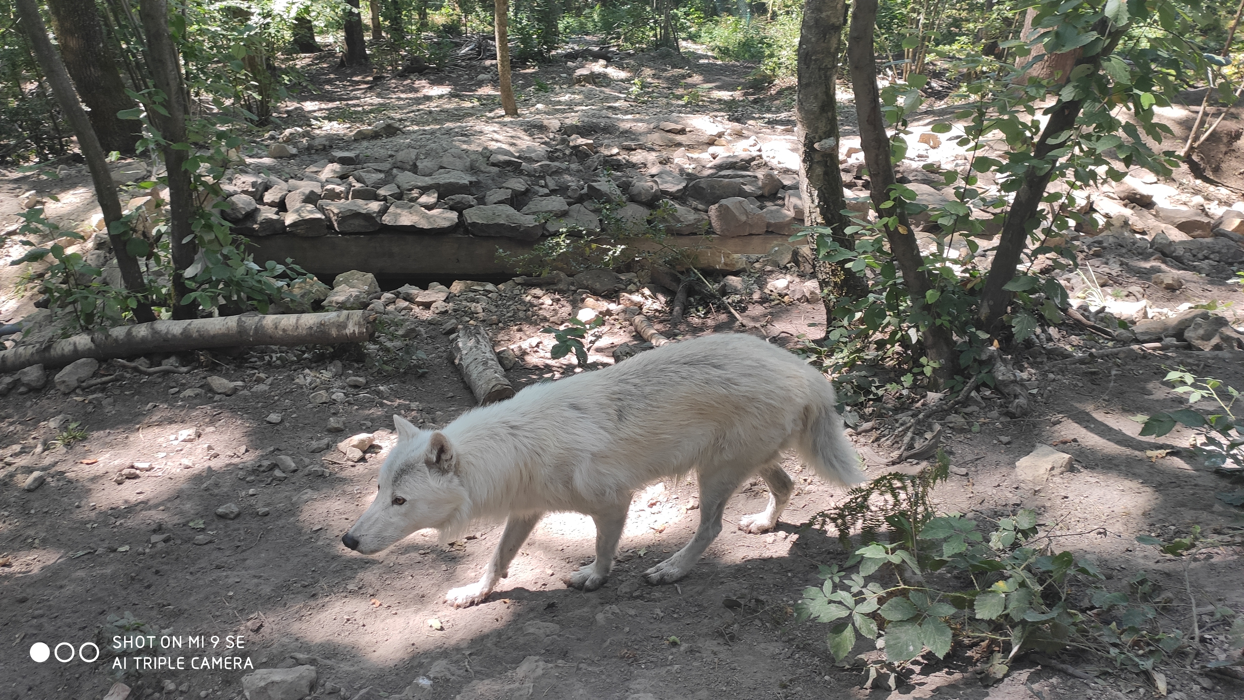 Photo n° 2 de l'avis de Célia.i fait le 30/07/2020 à 17:56