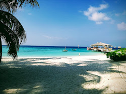 Photo de Plage du complexe AaaVeee Resort - endroit populaire parmi les connaisseurs de la détente