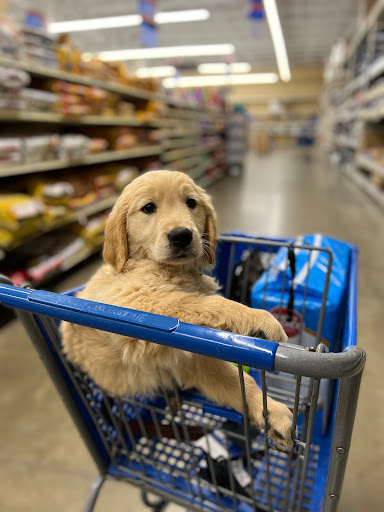 Pet Supply Store «PetSmart», reviews and photos, 1521 Golden Gate Plaza, Mayfield Heights, OH 44124, USA
