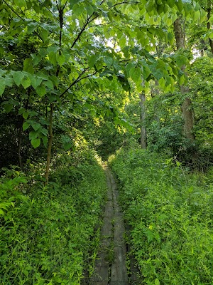Aullwood Audubon Center and Farm - photo 40