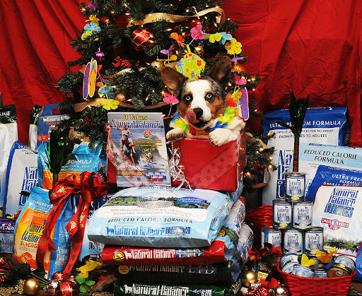 Pet Store «Paws & Fins Pet Shop», reviews and photos, 360 Tormey Ln NE, Bainbridge Island, WA 98110, USA