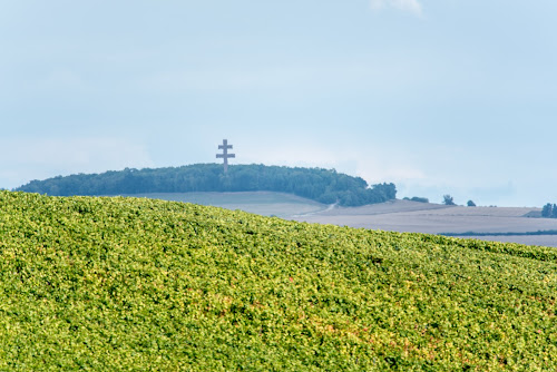 Champagne MONIOT JEAN-CLAUDE à Voigny