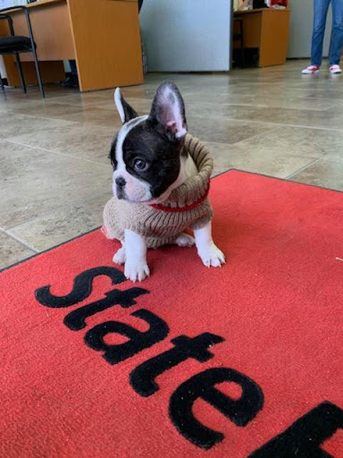 Insurance Agency «Crystal Martinez - State Farm Insurance Agent», reviews and photos