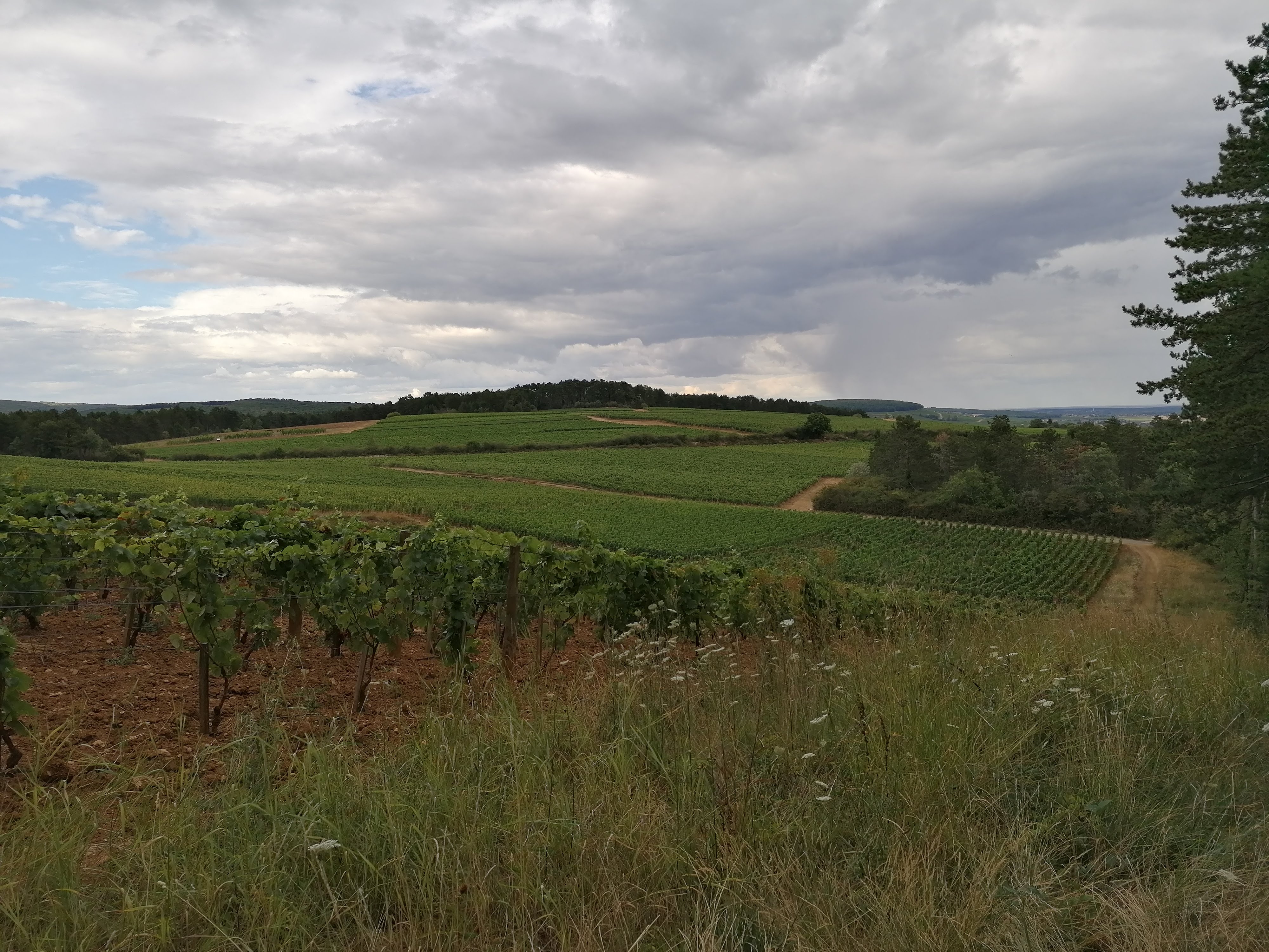 Photo n° 2 de l'avis de Cécile.e fait le 09/08/2020 à 14:21