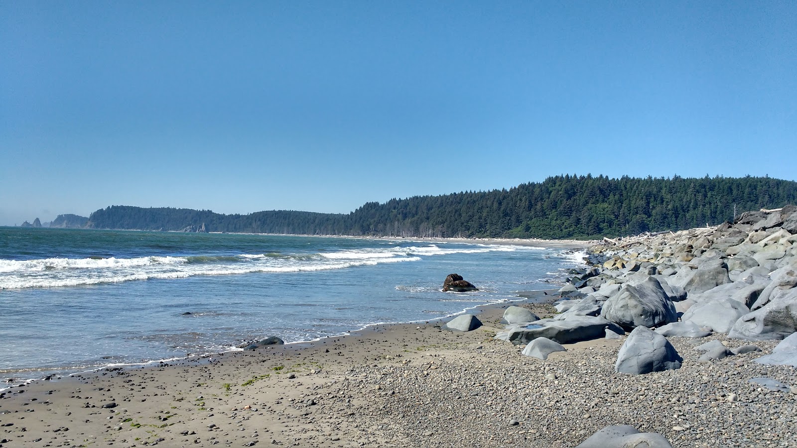 Foto von Mosquito Creek Beach mit sehr sauber Sauberkeitsgrad