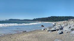 Foto von Mosquito Creek Beach wilde gegend