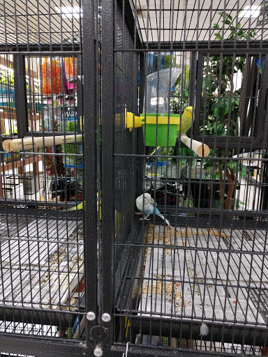 Pet Store «Pet Time», reviews and photos, 3141 W 11th Ave, Eugene, OR 97402, USA