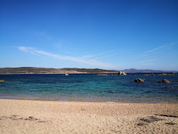Photo de Figari beach situé dans une zone naturelle