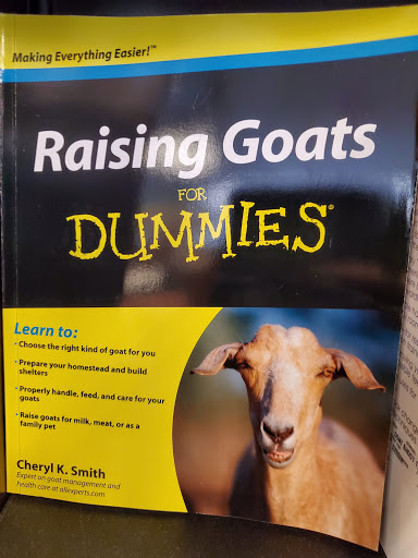 Book Store «Books-A-Million», reviews and photos, 3131 N Main St, Anderson, SC 29621, USA