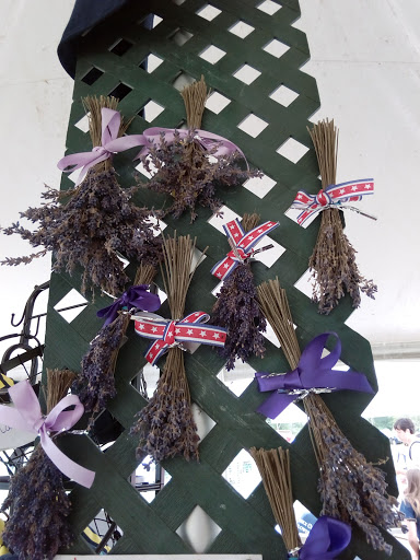 Tourist Attraction «Sussex County Sunflower Maze», reviews and photos, 101 Co Rd 645, Sandyston, NJ 07826, USA