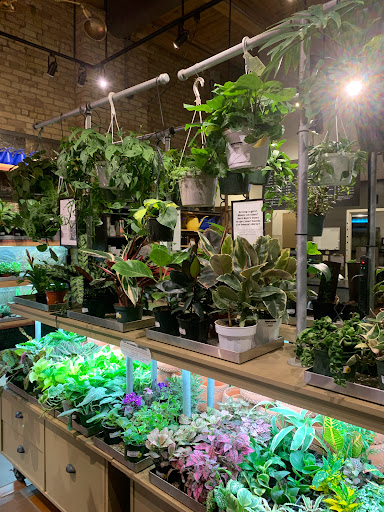 General Store «MOD GEN - A Modern General Store», reviews and photos, 211 N Broadway, Milwaukee, WI 53202, USA