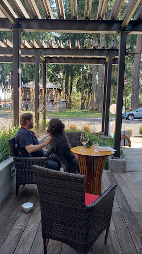 Winery «Seufert Winery Tasting Room», reviews and photos, 303 Main St, Dayton, OR 97114, USA