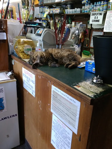Tropical Fish Store «Midway Tropical Fish & Pets», reviews and photos, 24101 Pacific Hwy S, Kent, WA 98032, USA