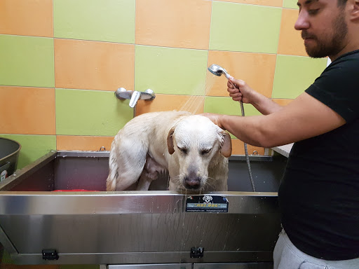 Pensioni per cani e dog hotel a Ayoka