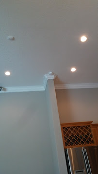 The Dog Walking Ladies - Photo 3 - Car repair in Parkland, FL, Coral Springs