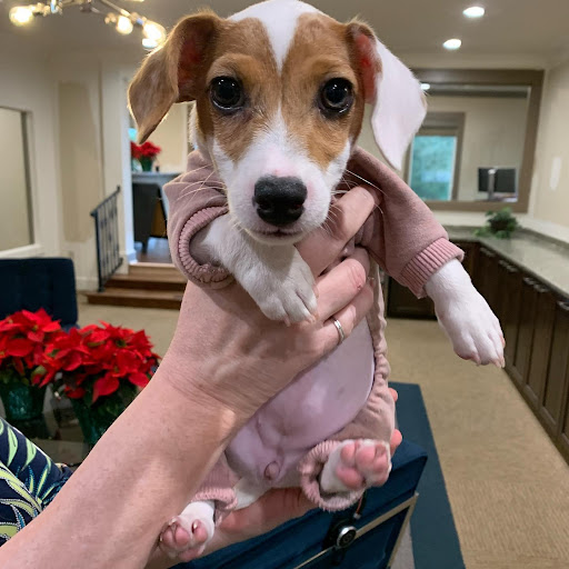 Auto Insurance Agency «State Farm: Lad Drago», reviews and photos