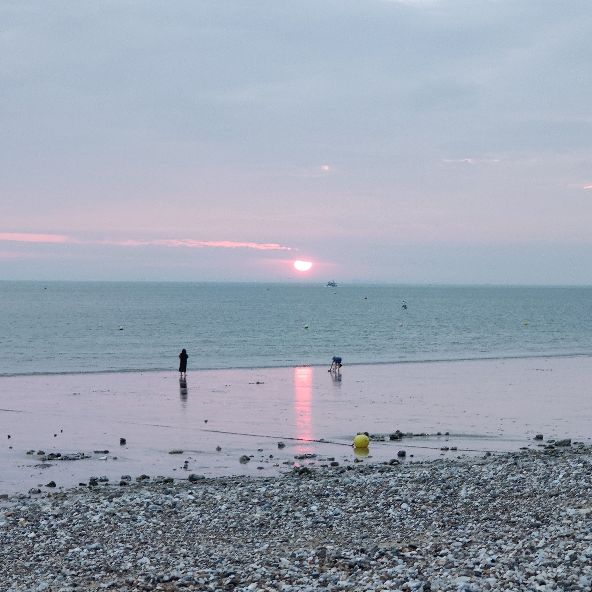 Photo n° 1 de l'avis de R.a fait le 11/08/2020 à 17:19