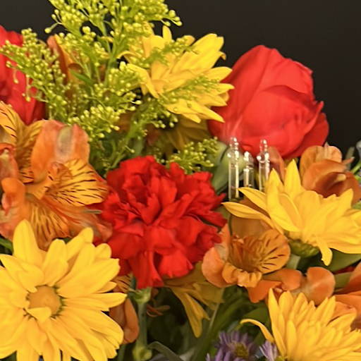 Florist «Fairview Flower Shop», reviews and photos, 1026 Sycamore Dr, Decatur, GA 30030, USA