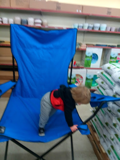 Discount Store «Ocean State Job Lot», reviews and photos, 1317 Liberty St, Springfield, MA 01104, USA