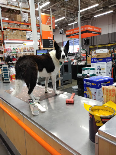 Home Improvement Store «The Home Depot», reviews and photos, 984 Wall Ave, Ogden, UT 84404, USA