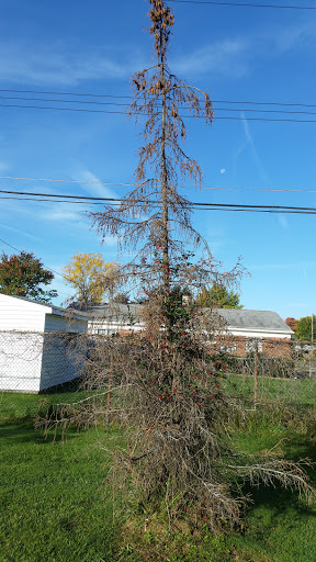 Community Center «Warren Community Center», reviews and photos, 5460 Arden Ave, Warren, MI 48092, USA