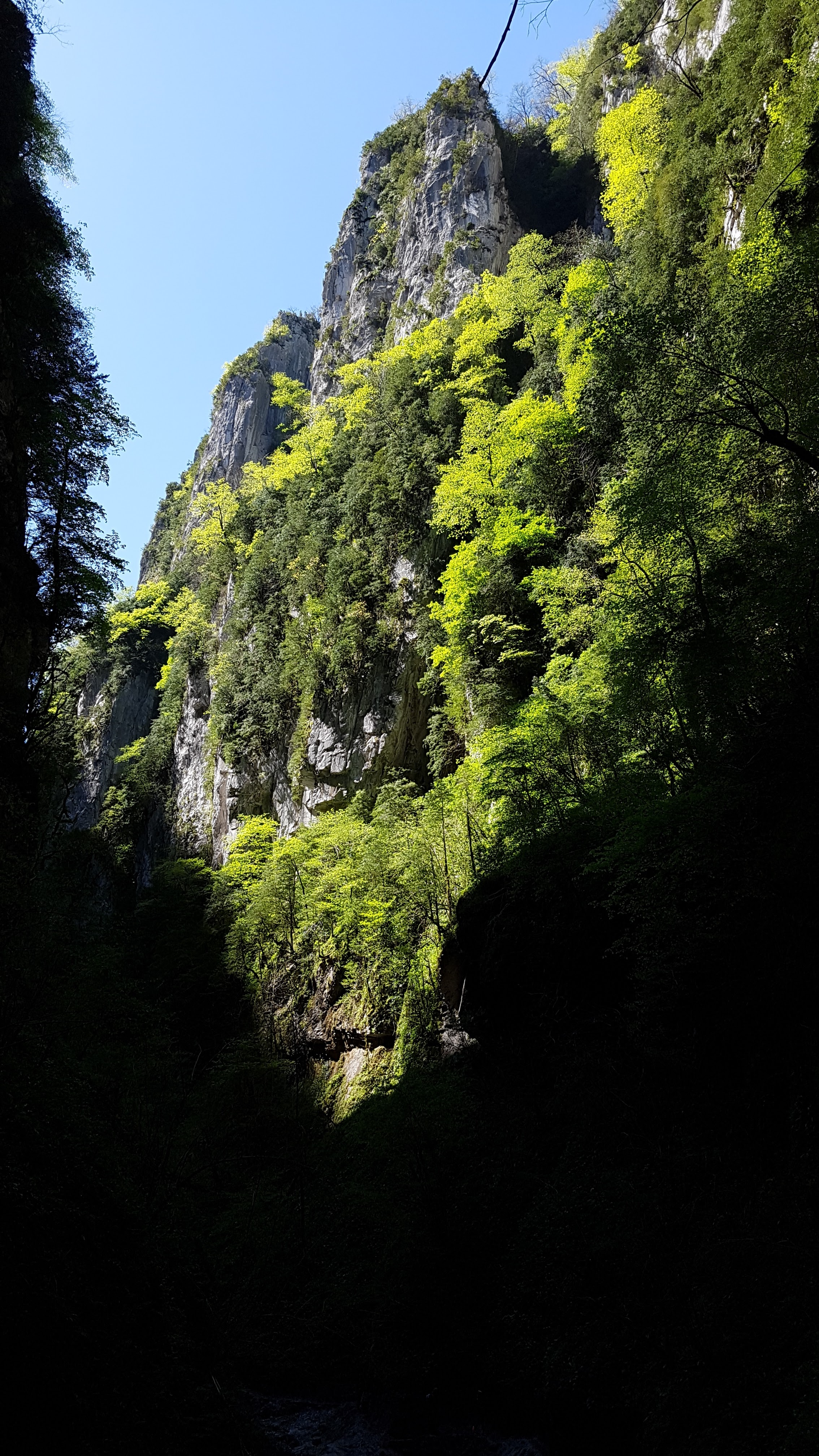 Photo n° 8 de l'avis de pascal. fait le 23/09/2018 à 17:16