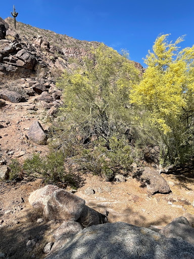 Golf Club «Phoenician Golf Club», reviews and photos, 6000 E Camelback Rd, Scottsdale, AZ 85251, USA