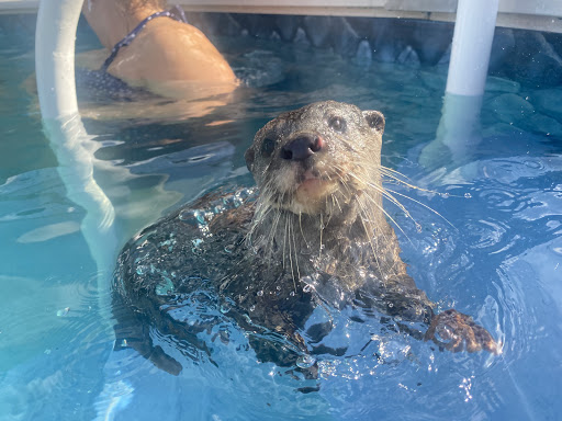 Tourist Attraction «Barn Hill Preserve», reviews and photos, 11370 LA-955, Ethel, LA 70730, USA