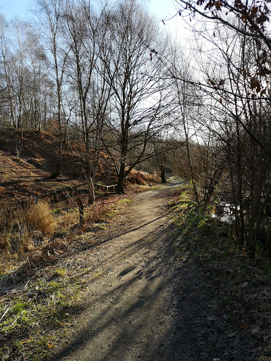 Boardman Brook