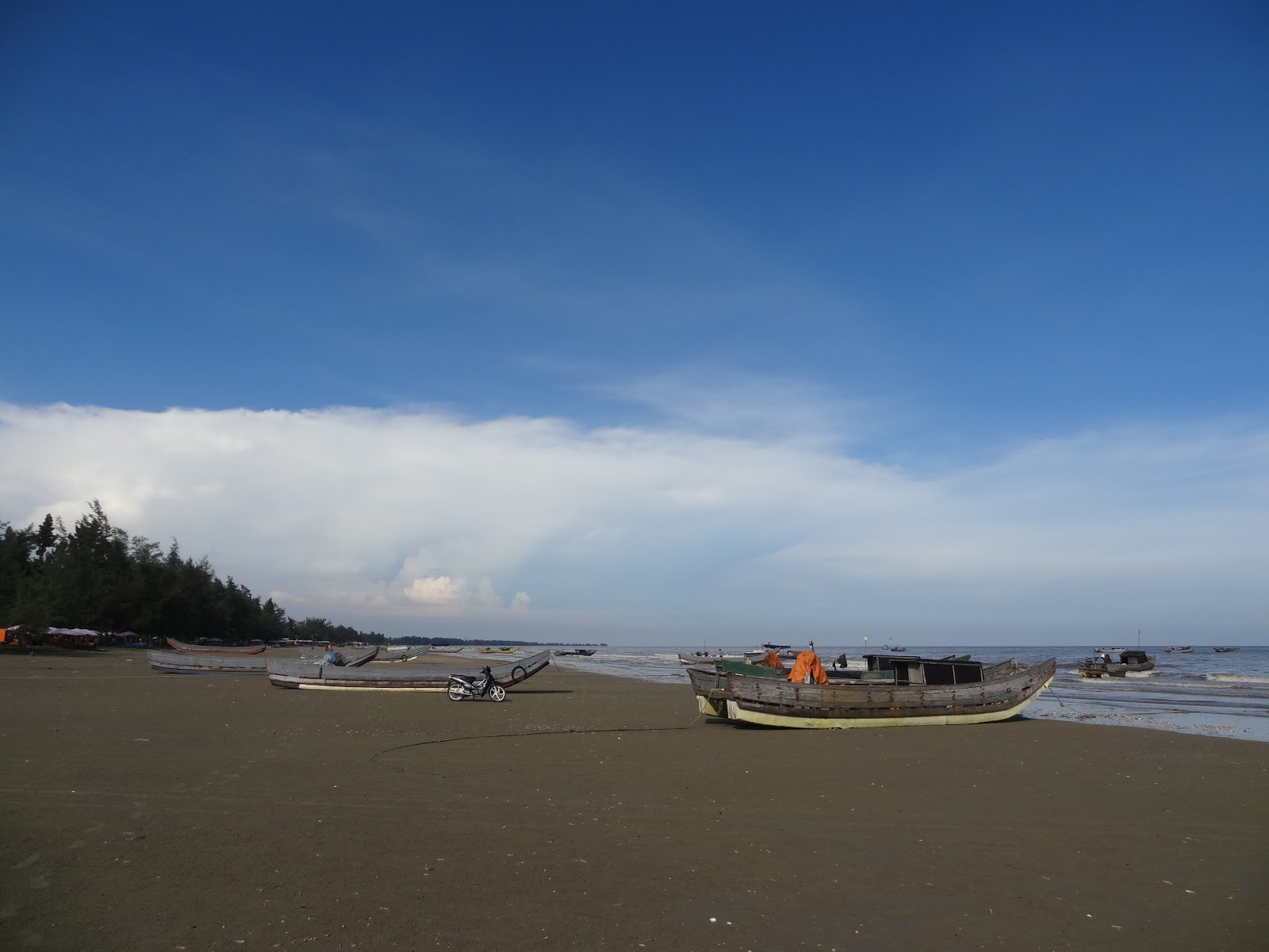 Fotografija Tra Co Beach z dolga ravna obala