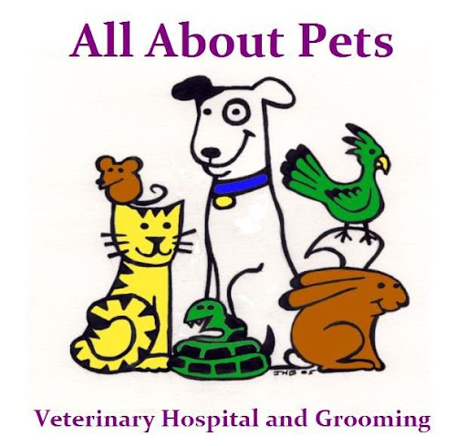 Veterinarian «All About Pets», reviews and photos, 6104 San Juan Ave, Citrus Heights, CA 95610, USA