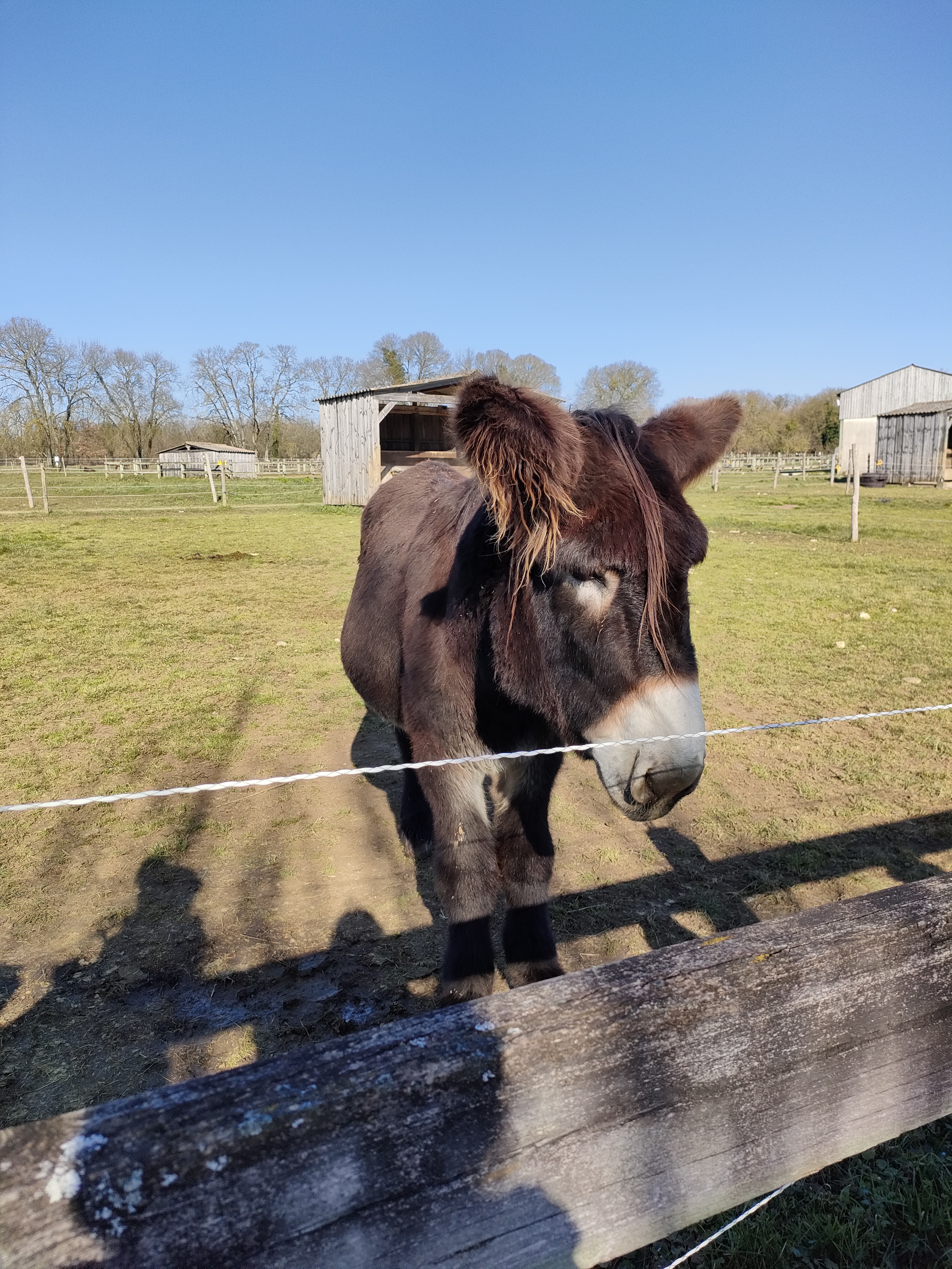 Photo n° 1 de l'avis de Laura.O fait le 28/02/2023 à 11:51