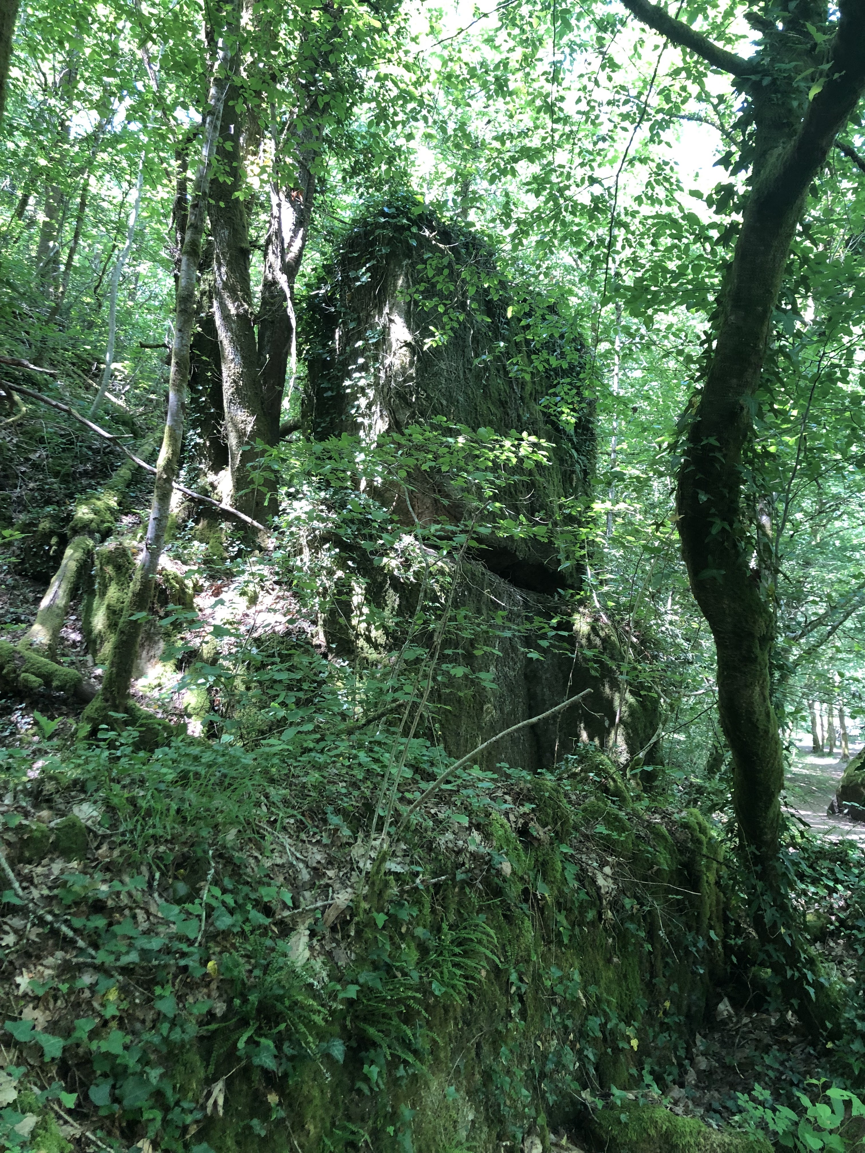 Photo n° 30 de l'avis de Yann.. fait le 05/06/2023 à 12:17