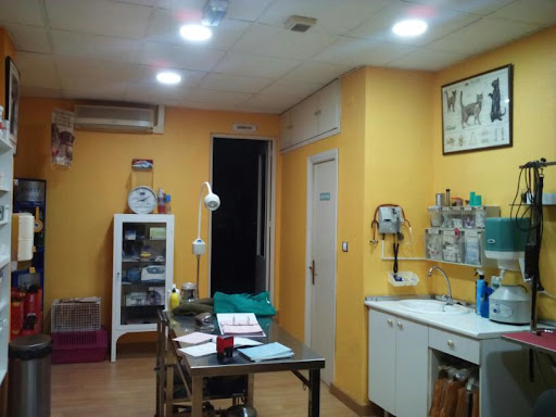 Clínica Veterinaria San Sebastian en Cieza