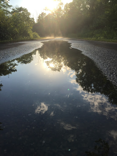 Nature Preserve «Rubio Woods», reviews and photos, W. Midlothian Turnpike, Midlothian, IL 60445, USA