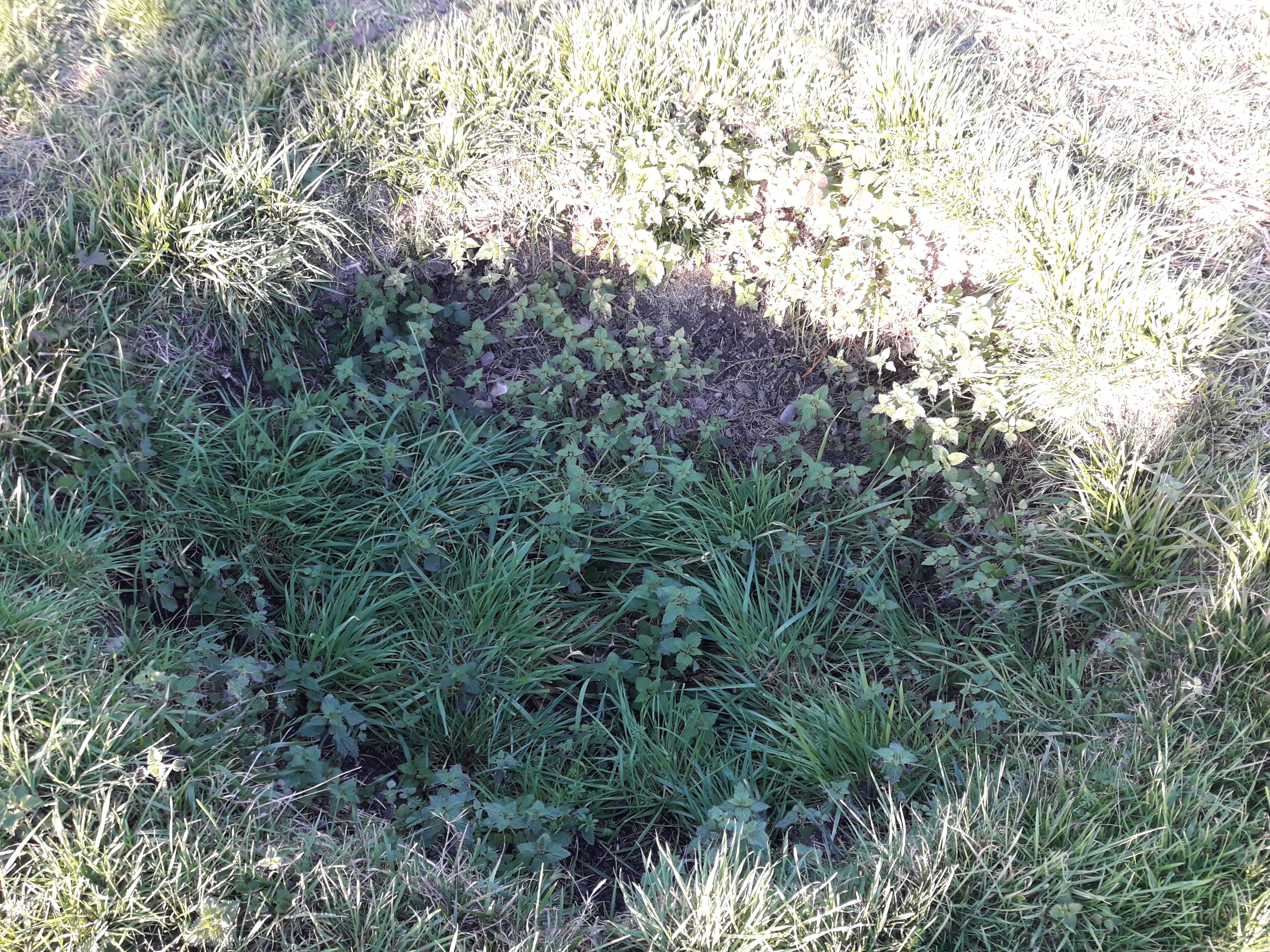 Photo n° 13 de l'avis de tibo.* fait le 20/01/2019 à 10:58