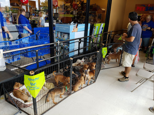 Pet Supply Store «PetSmart», reviews and photos, 6019 Wade Hampton Blvd, Taylors, SC 29687, USA