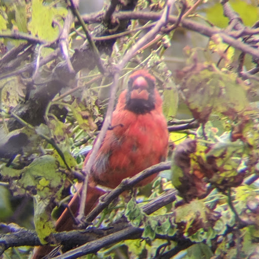 Park «Oxbow Park & Zollman Zoo», reviews and photos, 5731 County Rd 105 NW, Byron, MN 55920, USA