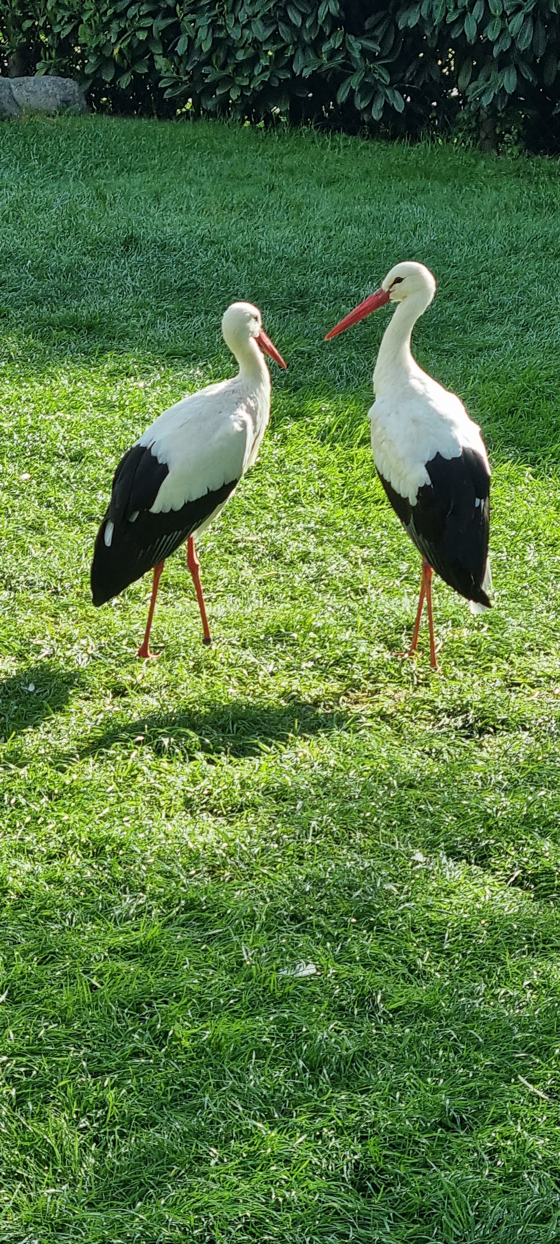 Photo n° 13 de l'avis de Anne.a fait le 25/04/2022 à 13:04