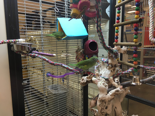 Pet Supply Store «PetSmart», reviews and photos, 175 Ranch Dr, Milpitas, CA 95035, USA