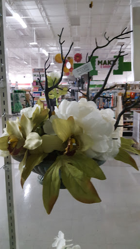 Craft Store «Michaels», reviews and photos, 205 Ken Pratt Blvd #200, Longmont, CO 80501, USA